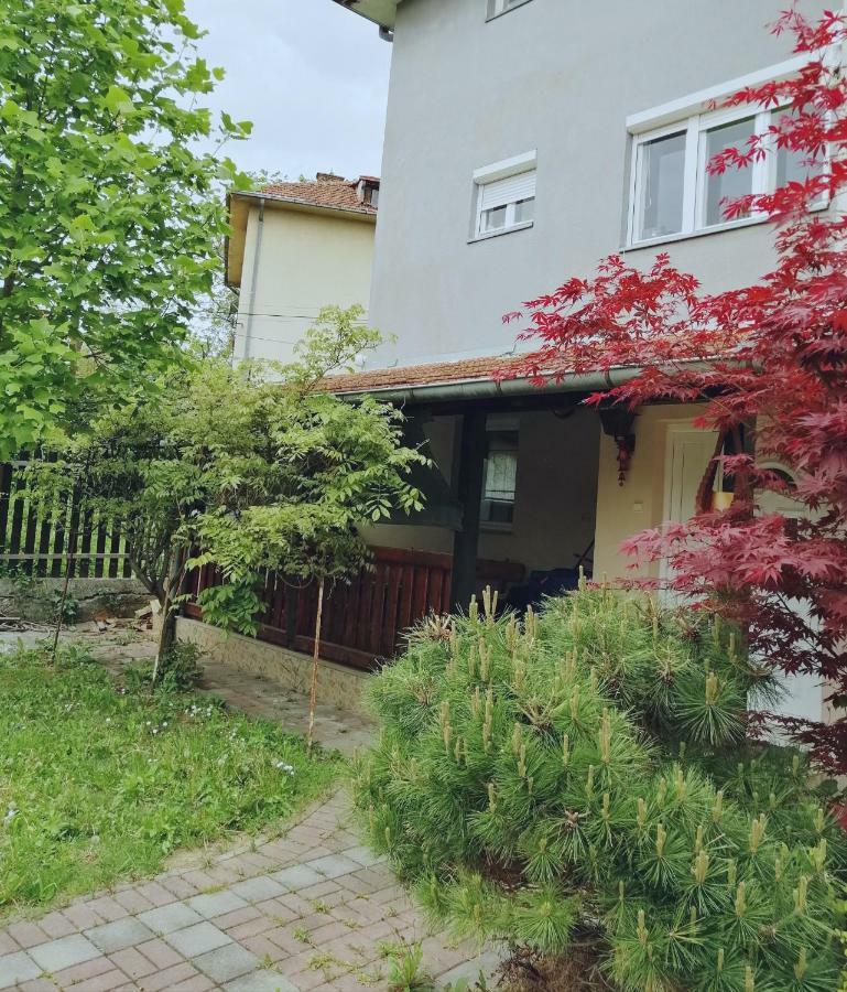Appartement Duplex Mihajlovic-Vrnjačka Banja Extérieur photo