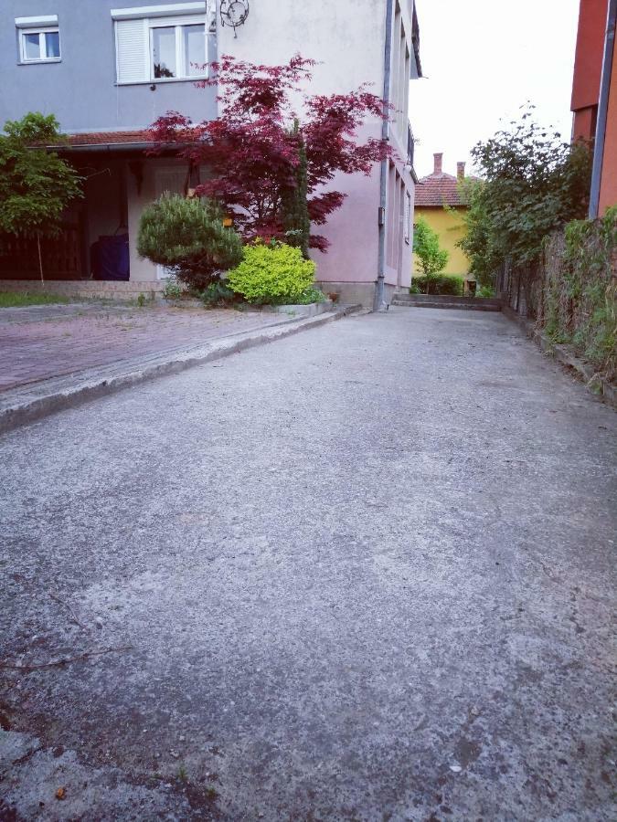 Appartement Duplex Mihajlovic-Vrnjačka Banja Extérieur photo